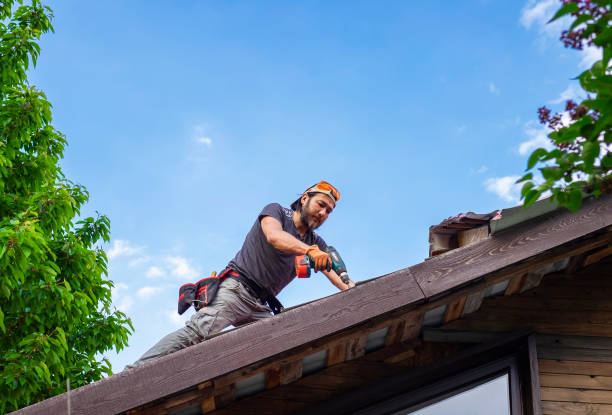 Best Rubber Roofing (EPDM, TPO)  in St Clair, MI