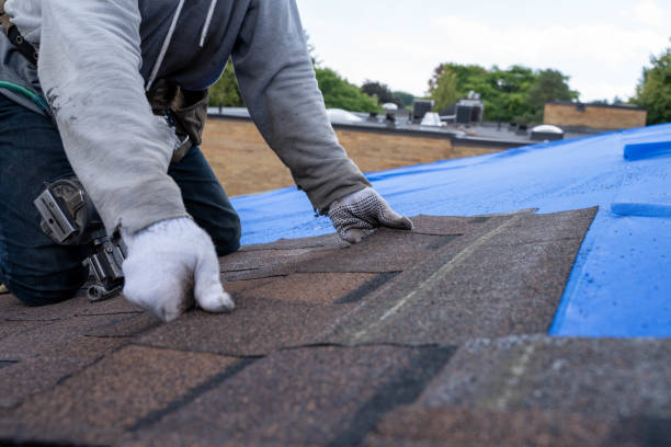 Best Roof Maintenance and Cleaning  in St Clair, MI