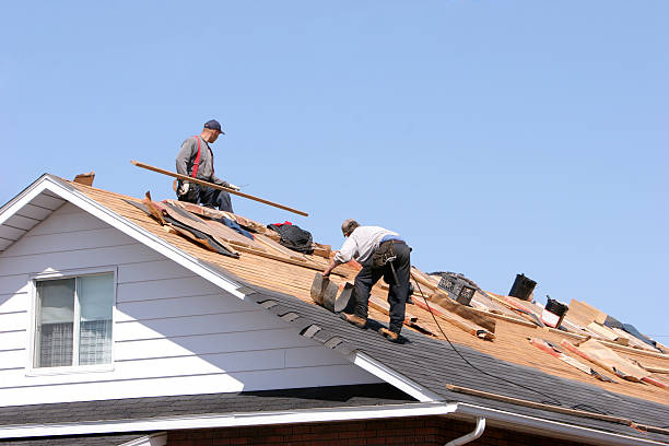 Best Solar Panel Roofing Installation  in St Clair, MI